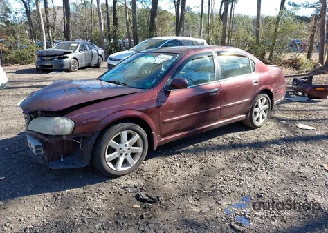 2002 Nissan Maxima Gle z USA, uszkodzony, nr VIN JN1DA31A72T322498
